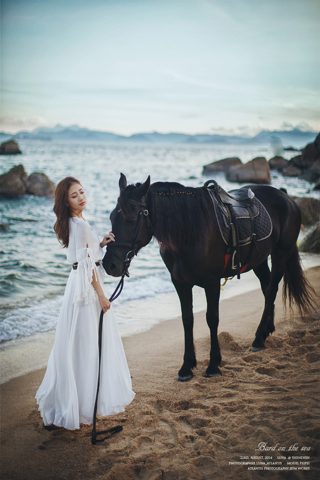 海边马背上的白裙美女  第3张