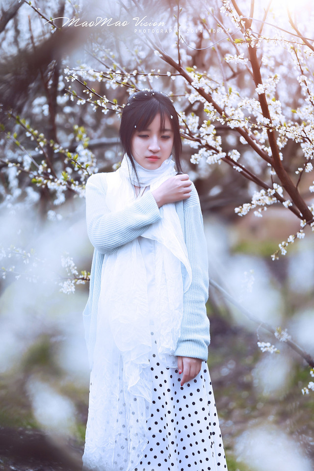 梨花下清新唯美图  第6张