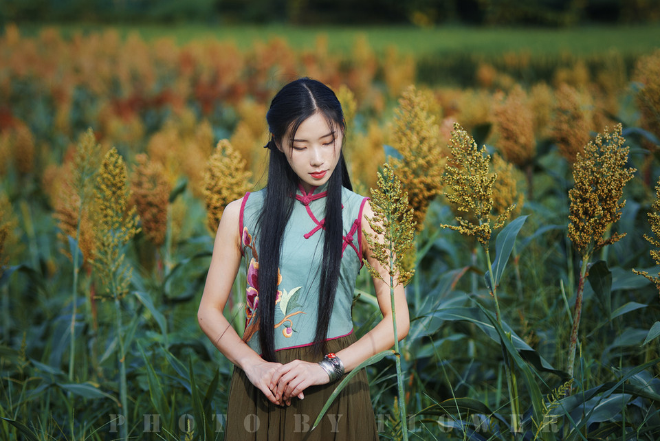 旗袍女子守望在这秋日季节  第8张