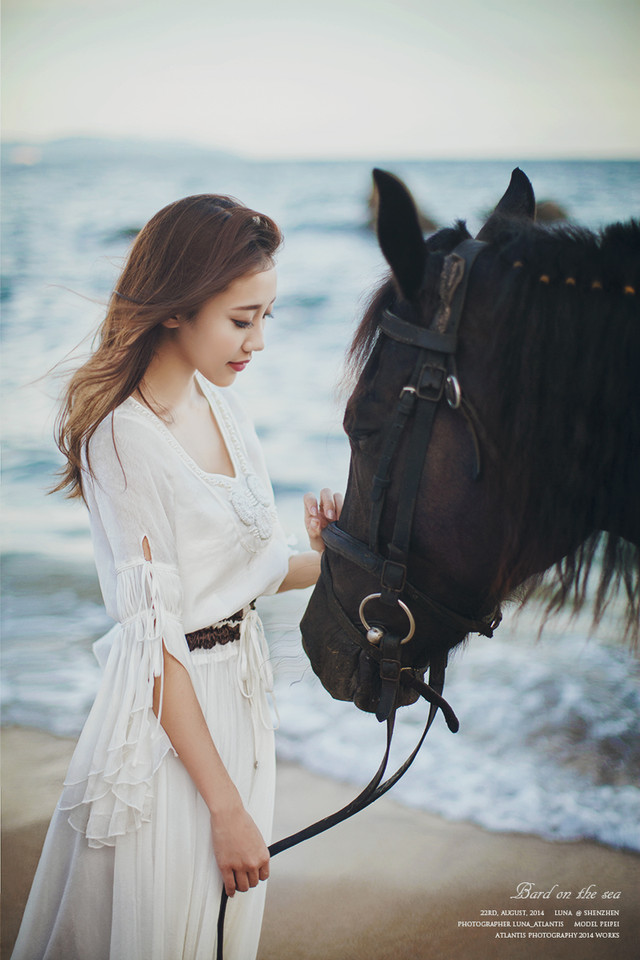 海边马背上的白裙美女  第13张
