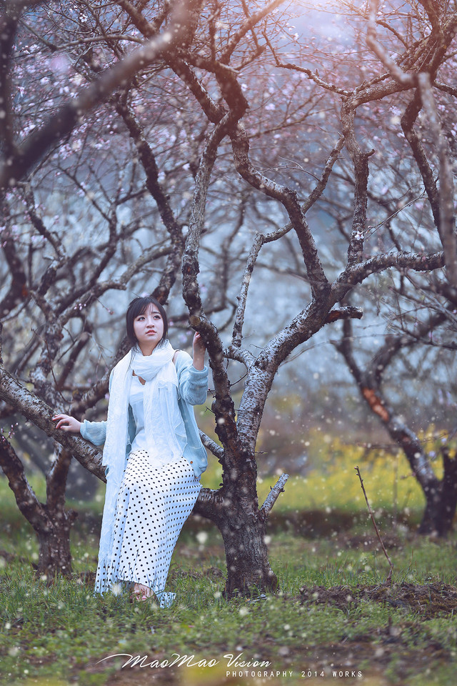 梨花下清新唯美图  第11张