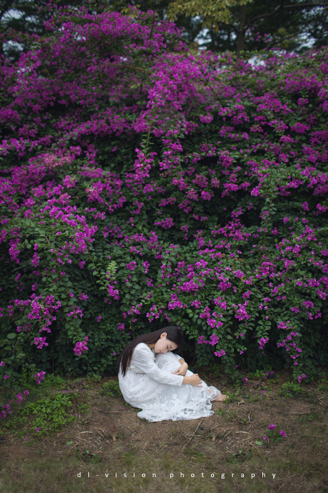 花丛中的白裙迷人少女  第2张
