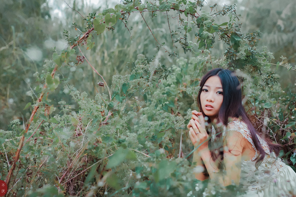 草地上白裙唯美少女图  第2张